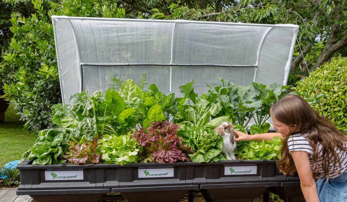 Vegepod - Large (Perth Delivery Only) - BUNDLE DISCOUNTS AVAILABLE