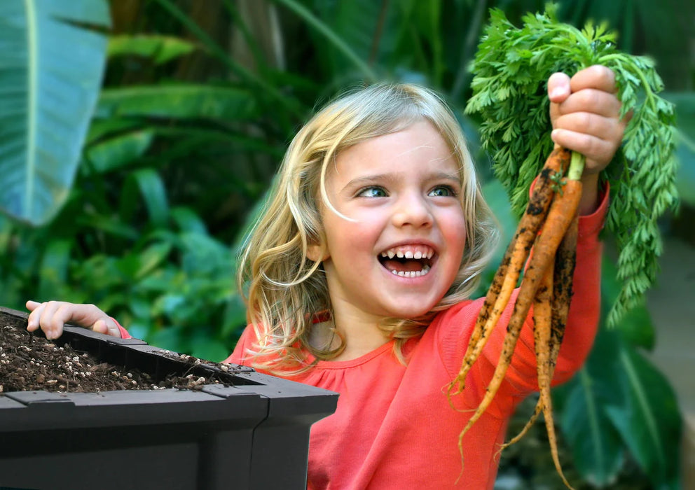Vegepod - Large Starter Pack with Stand (Perth Delivery Only)