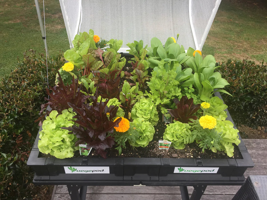 Vegepod - Medium (Perth Delivery Only) - BUNDLE DISCOUNTS AVAILABLE