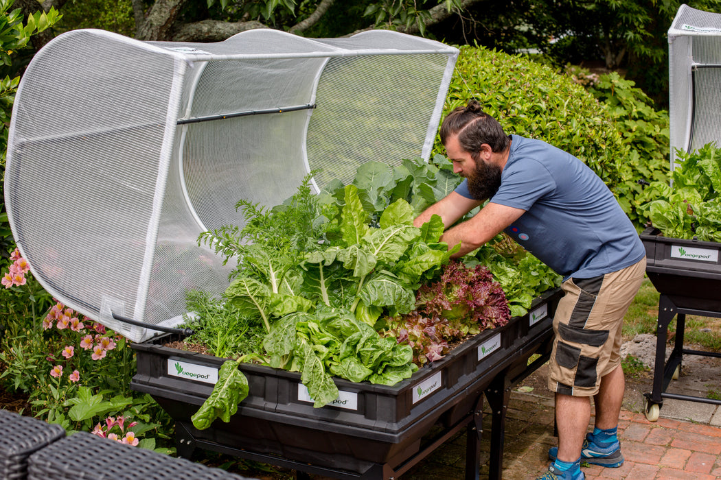 Vegepod - Large (Perth Delivery Only) - BUNDLE DISCOUNTS AVAILABLE