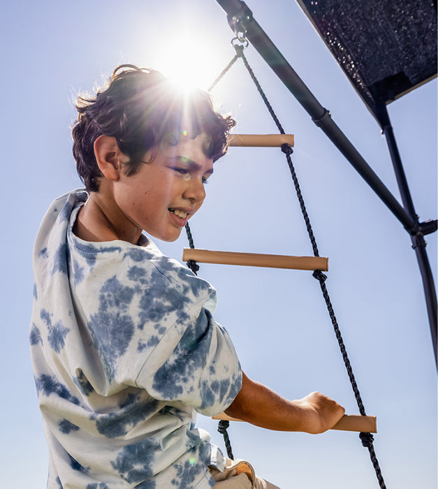 Climbing Ladder