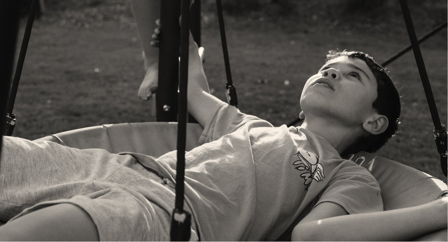 Large Nest Swing