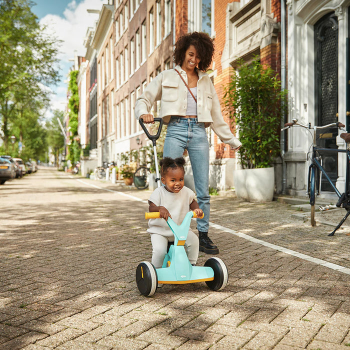 BERG GO2 Push Handle [ONLY]